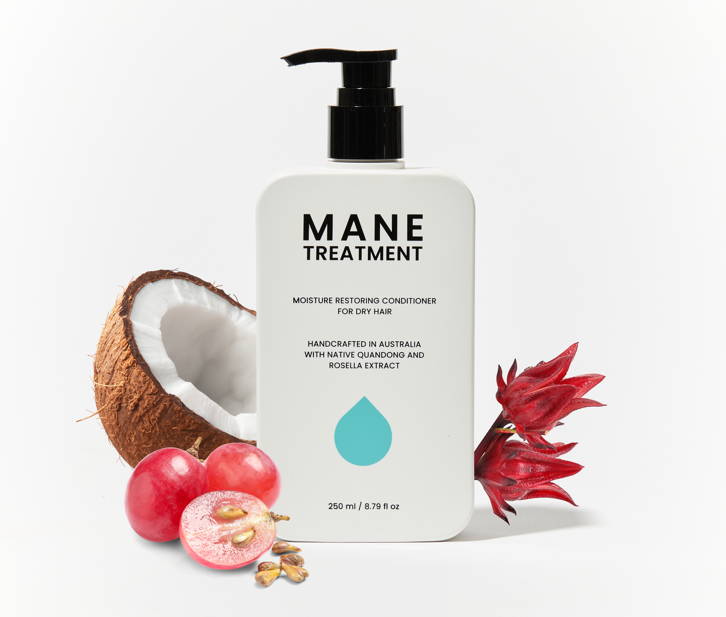 Mane Treatment Conditioner