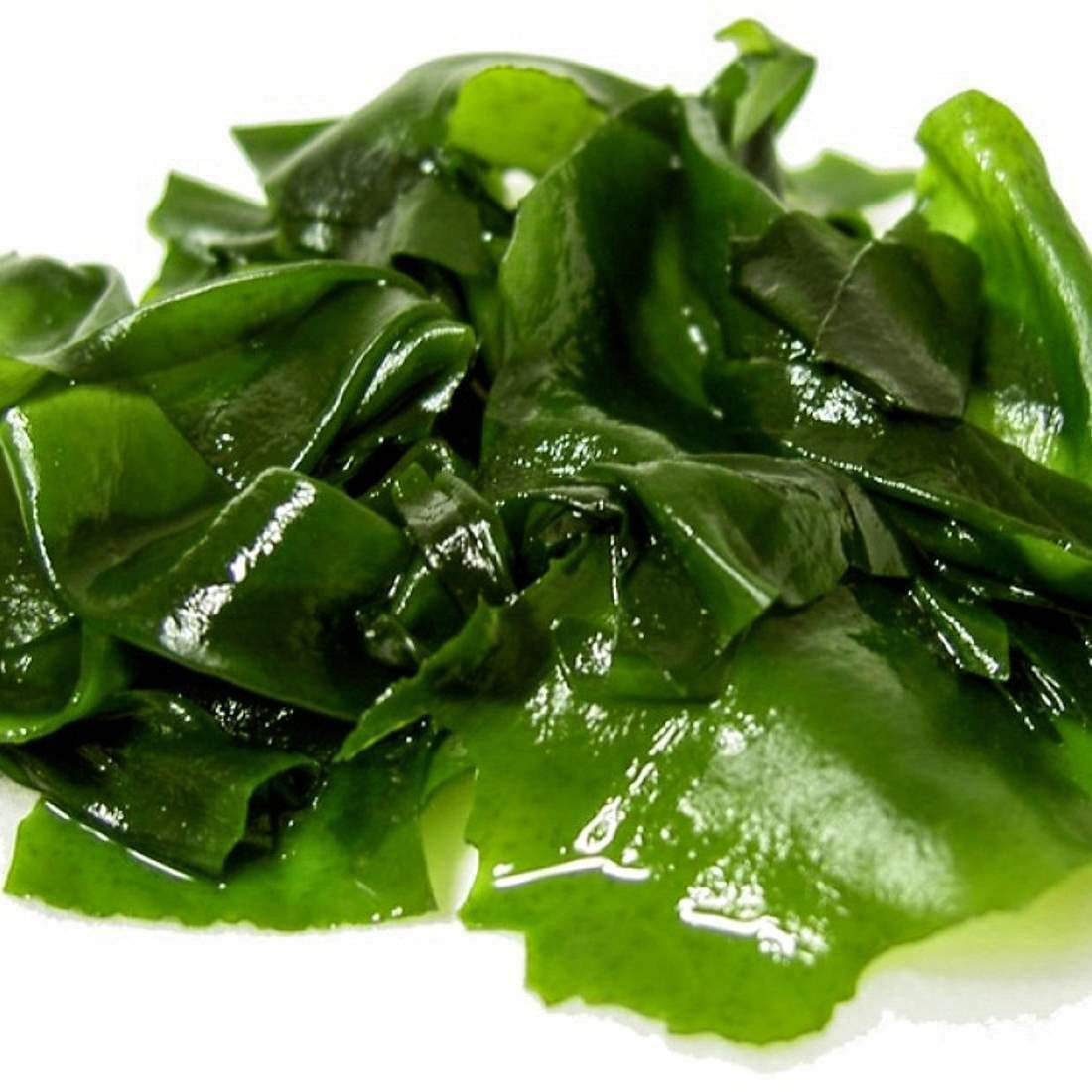 Hub for Belle Wellness Range Seaweed antioxidant Ingredient