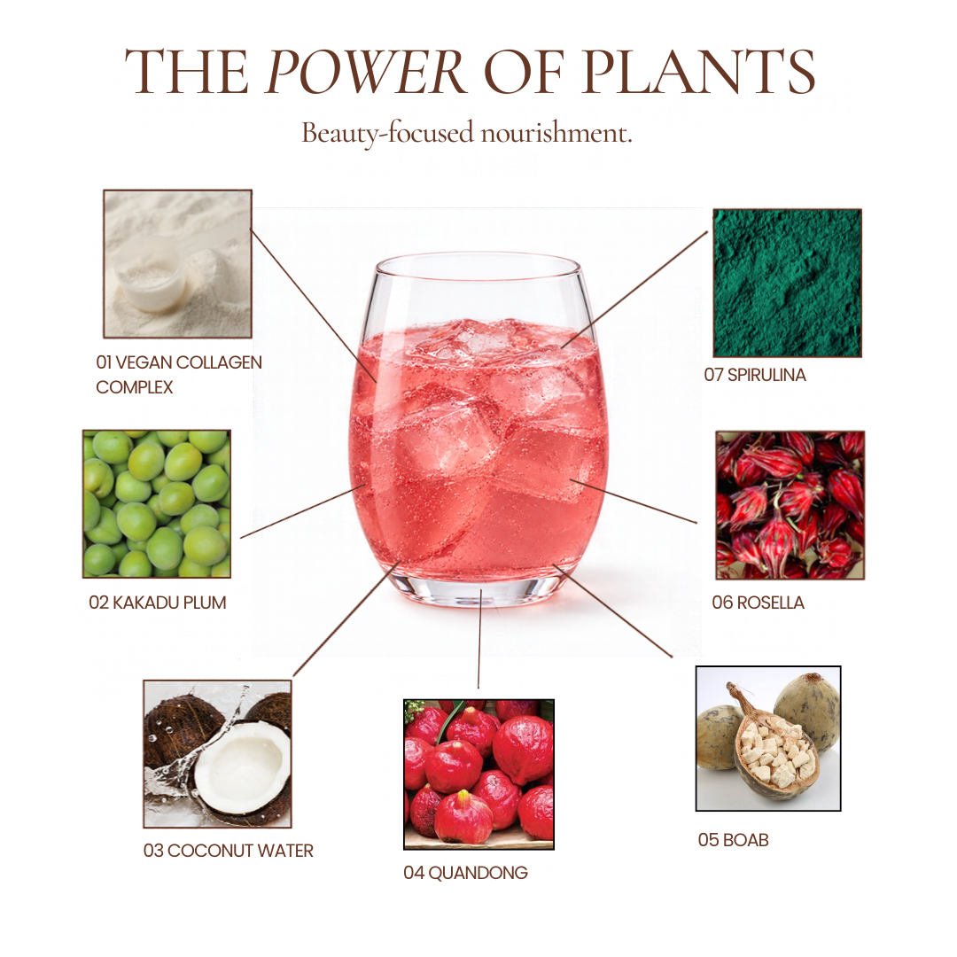 A promotional infographic for Hub for Belle Beauty and Wellbeing Blend titled 'THE POWER OF PLANTS' shows a pink drink in a clear stemless glass at the center, with six ingredient callouts radiating outward: vegan collagen complex, kakadu plum, spirulina, rossella, coconut water, and quandong. A small ingredient photo for boab is also shown at the lower right.
