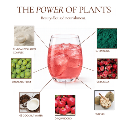A promotional infographic for Hub for Belle Beauty and Wellbeing Blend titled 'THE POWER OF PLANTS' shows a pink drink in a clear stemless glass at the center, with six ingredient callouts radiating outward: vegan collagen complex, kakadu plum, spirulina, rossella, coconut water, and quandong. A small ingredient photo for boab is also shown at the lower right.