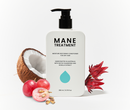 Mane Treatment Conditioner