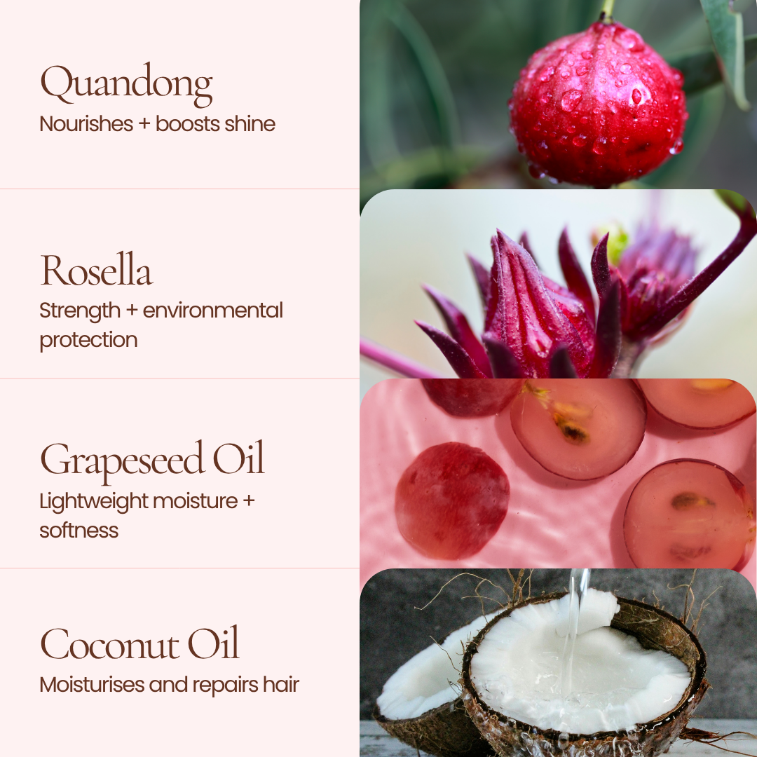 A promotional graphic for Mane Treatment Conditioner by Hub for Belle ingredients with text panels reading 'Quandong', 'Rosella', 'Grapeseed Oil', and 'Coconut Oil' alongside ingredient photos of a red fruit, a pink rosella flower, sliced grapes, and a coconut.