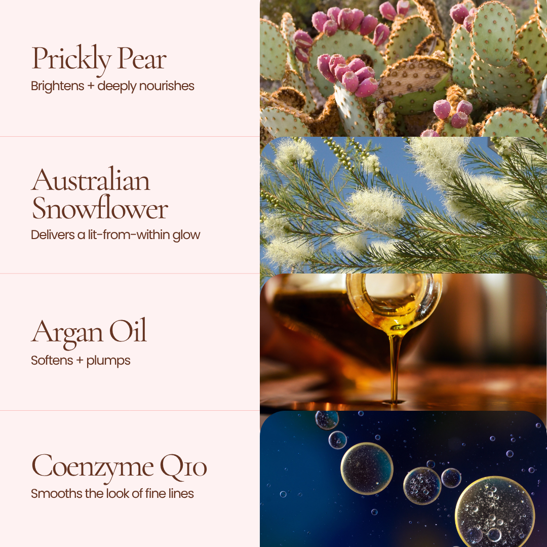 Hub for Belle award winning skincare Facial Oil A skincare ingredient or blend product graphic titled 'Prickly Pear' with descriptive text and four ingredient panels: prickly pear cactus with pink flowers, Australian snowflower branches, argan oil in a glass, and Coenzyme Q10 bubbles on a dark blue background.