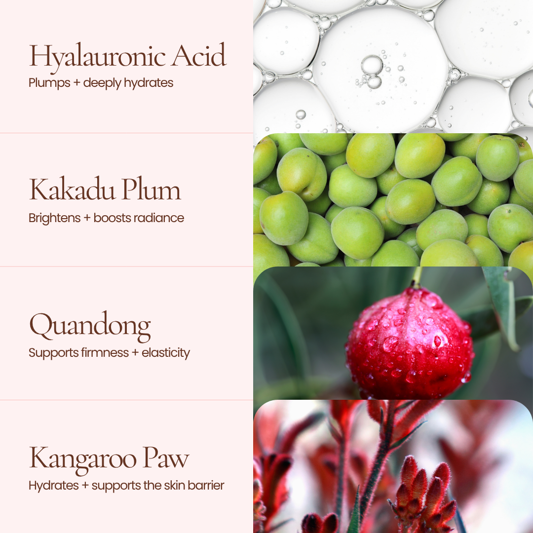 A Hub For Belle award winning natural Hydrating Primer serum ingredient infographic with a pale pink text panel on the left and botanical/ingredient visuals on the right. Text reads: Hyaluronic Acid, Kakadu Plum, Quandong, and Kangaroo Paw, with corresponding ingredient photos including translucent gel bubbles, green plums, a red berry, and red flowers.