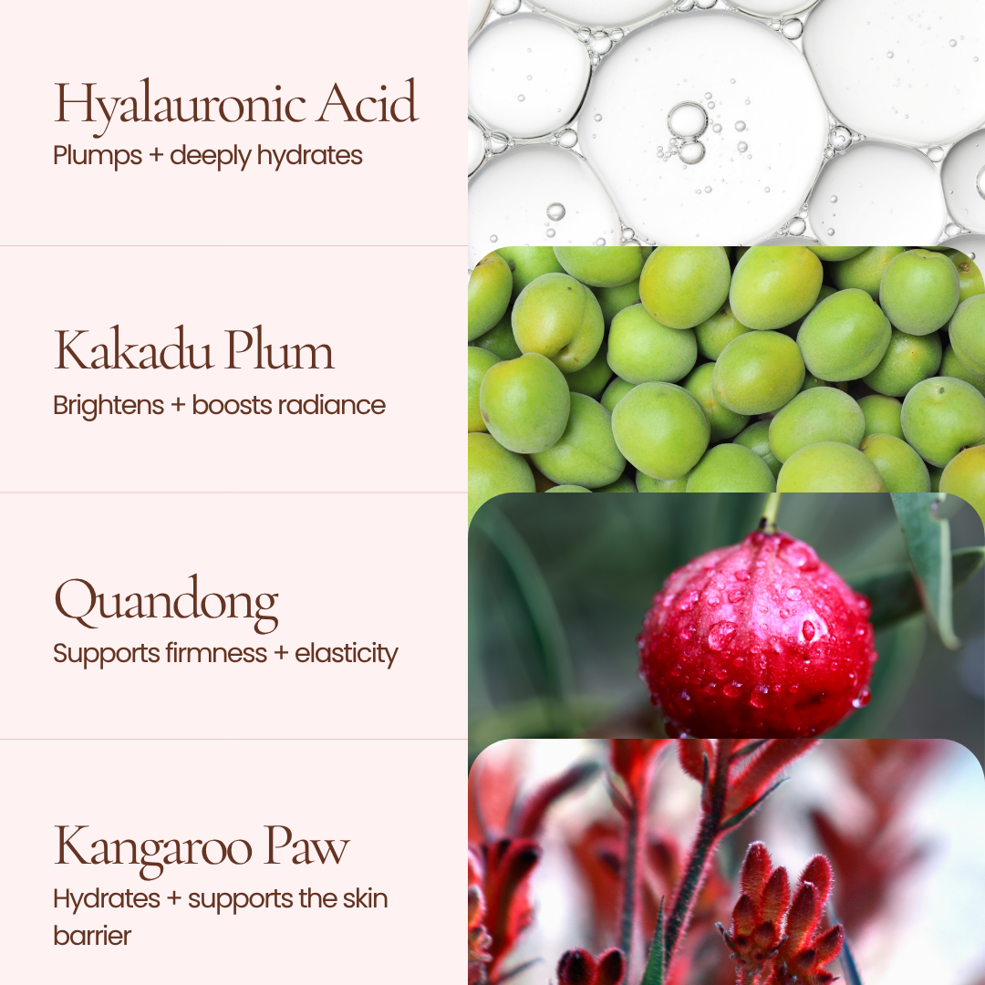 A Hub For Belle award winning natural Hydrating Primer serum ingredient infographic with a pale pink text panel on the left and botanical/ingredient visuals on the right. Text reads: Hyaluronic Acid, Kakadu Plum, Quandong, and Kangaroo Paw, with corresponding ingredient photos including translucent gel bubbles, green plums, a red berry, and red flowers.