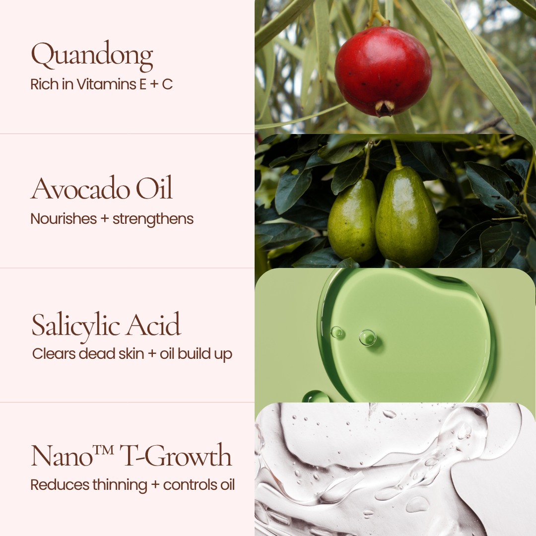 An ingredient infographic of Mane Treatment Shampoo by Hub for Belle  with text panels reading 'Quandong', 'Avocado Oil', 'Salicylic Acid', and 'Nano™ T-Growth', paired with ingredient imagery: a red fruit, green avocados on leaves, a green translucent droplet, and a white cream texture.