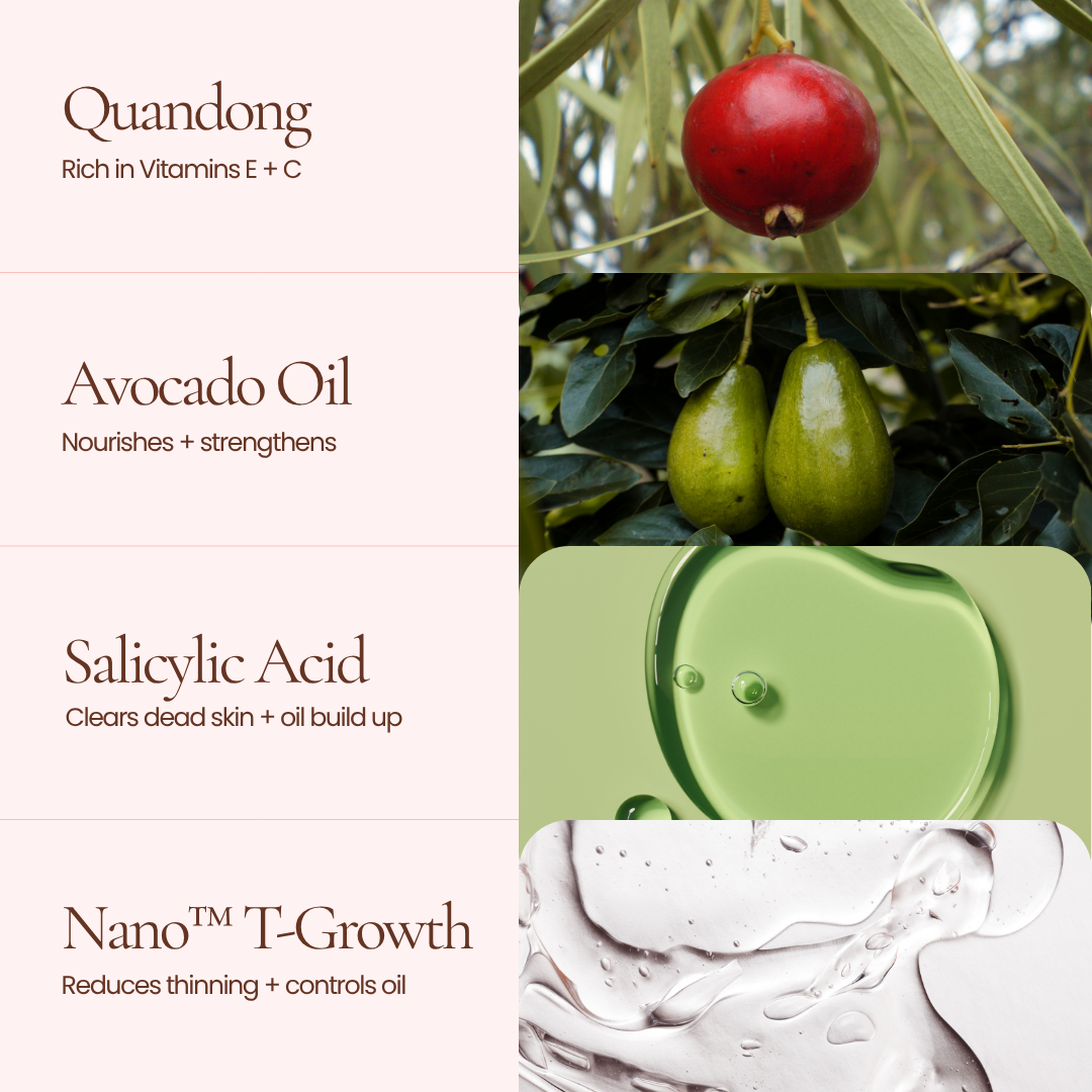 An ingredient infographic of Mane Treatment Shampoo by Hub for Belle  with text panels reading 'Quandong', 'Avocado Oil', 'Salicylic Acid', and 'Nano™ T-Growth', paired with ingredient imagery: a red fruit, green avocados on leaves, a green translucent droplet, and a white cream texture.
